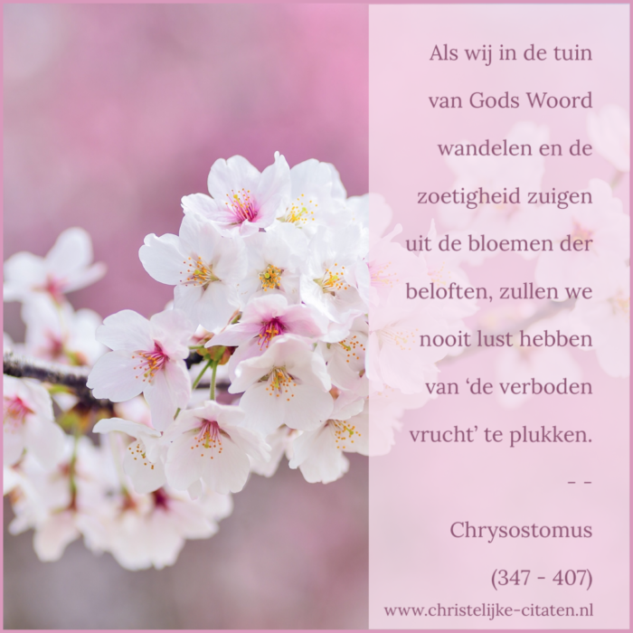 Wandelen in de tuin van Gods Woord Christelijke citaten